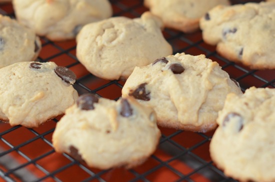 peanut-butter-chocolate-chip-cookies-recipe