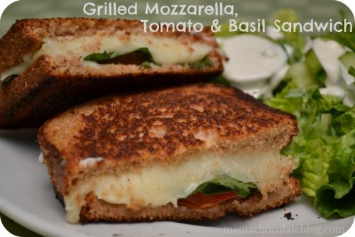 Grilled Mozzarella Tomato Basil Sandwich