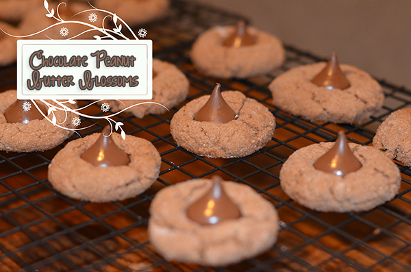 Chocolate Peanut Butter Blossoms