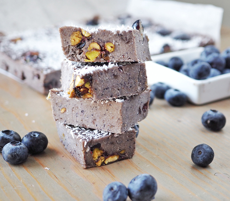 Blueberry Pistachio Coconut Fudge Recipe