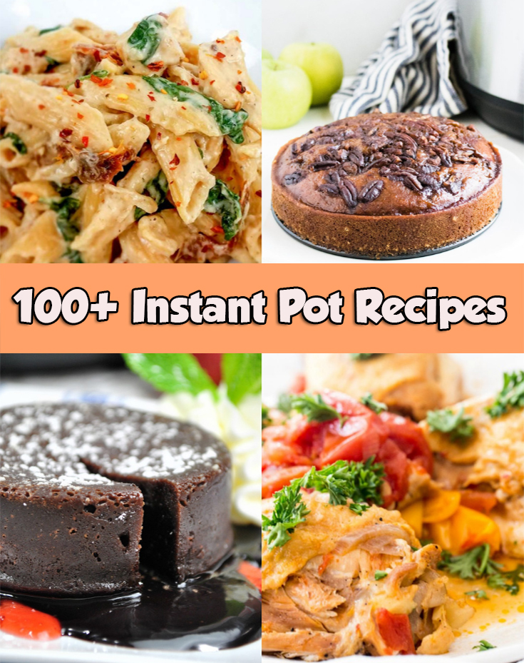 100+ Recipes You Can Make In Your Instant Pot